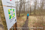 Löwenpfad Felsenrunde