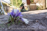 Wandern auf dem Malerweg im Elbsandsteingebirge Tag SECHS