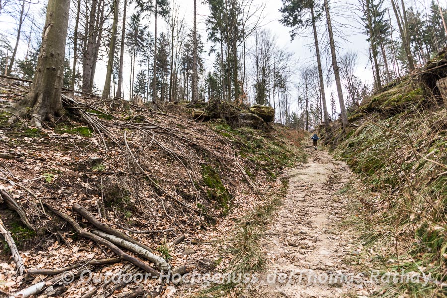 Wandern auf dem Malerweg im Elbsandsteingebirge Tag VIER
