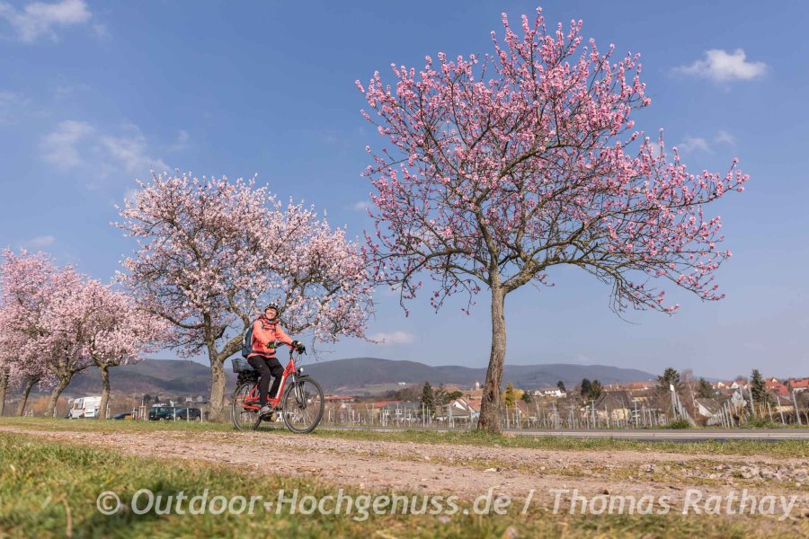 Outdoor Wochenende zur Mandelblüte in der Pfalz