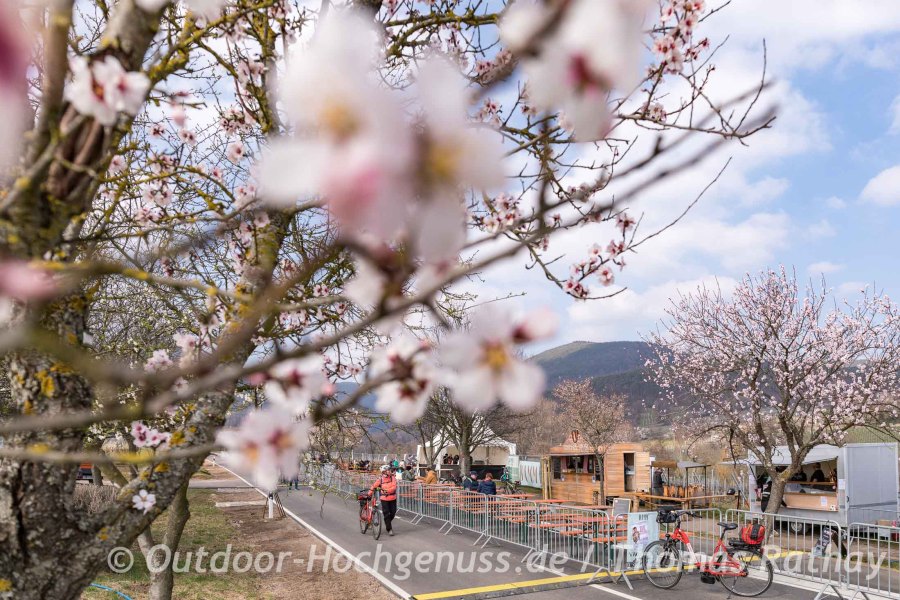 Outdoor Wochenende zur Mandelblüte in der Pfalz
