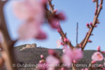 Outdoor Wochenende zur Mandelblüte in der Pfalz