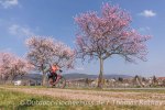 Outdoor Wochenende zur Mandelblüte in der Pfalz