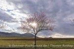 Outdoor Wochenende zur Mandelblüte in der Pfalz