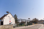 Bornheim, das Storchendorf in der Pfalz