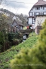 Immer noch in Reichental