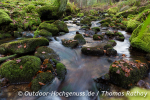 Wandern auf der Murgleiter-Etappe 5