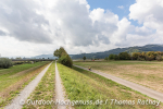 Die Landschaft wird weiter und offener