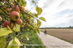 Radeln durch den Obstkorb Ortenau