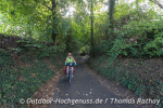 Abends im Wald