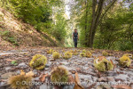 Im Herbst ist ein gute Wanderzeit!