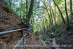 Baukumarmung in der Margaretenschlucht