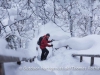 Schneeschuhwanderung zum Njupeskär.