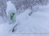 Schneeschuhwanderung zum Njupeskär.