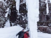 Schneeschuhwanderung zum Njupeskär.