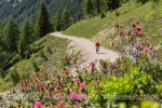 E-Mountainbiketour in Südtirol