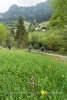 Blühende Wiesen mit Aussicht