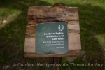Auf den Infotafeln erfährt man allerlei rund um die Zirbe
