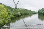 Blick vom Max-Eyth-Steg in die Weinberge