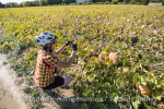 Rathay_Radtour_Luberon_07
