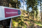 Der Rappenfelsensteig - Wandern auf neuen Genießerpfaden im Schwarzwald