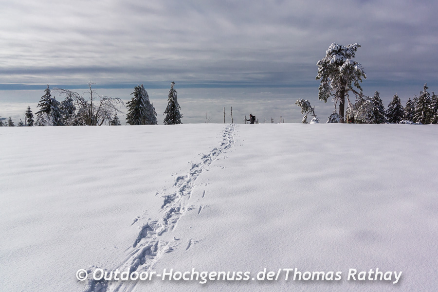 Spuren im Schnee führen zur genialen Aussicht