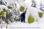 Tiefverschneite Wälder ... und nicht nur Tannen.