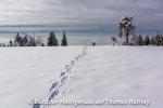 Spuren im Schnee führen zur genialen Aussicht