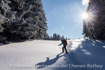 Schneeschuhe gehen auch abseits der gewalzten Winterwanderwege