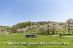 Kirschblütenzeit