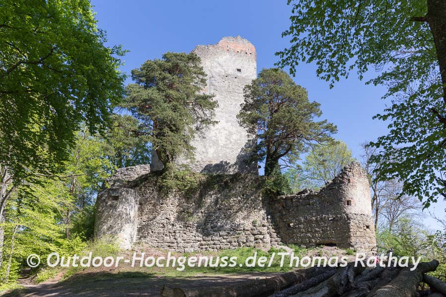 Ruine Altbodman