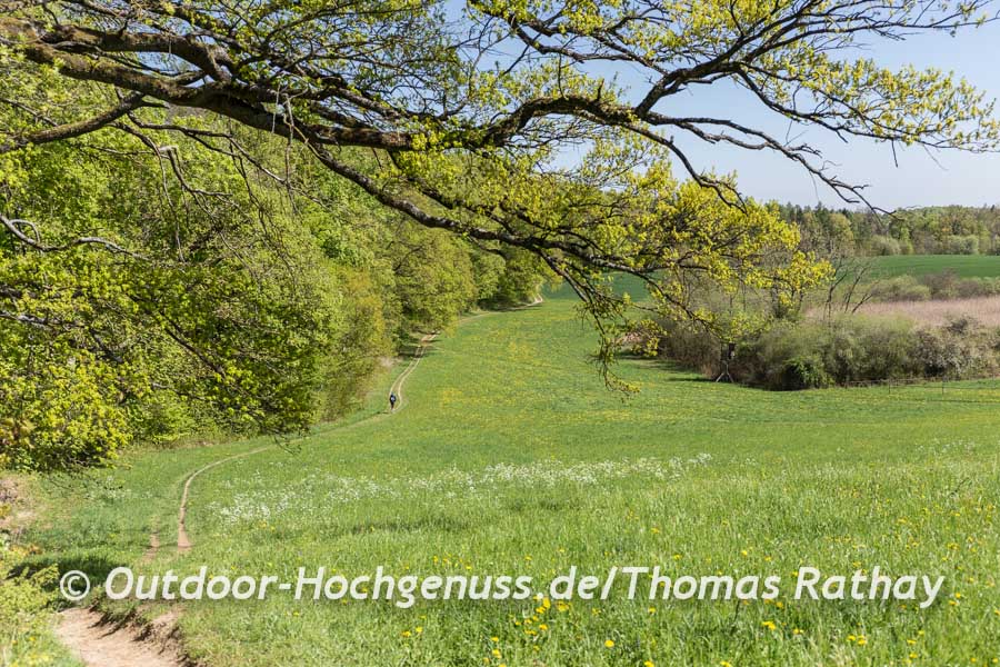 Schmale Pfade zeichnen Premiumwege aus.