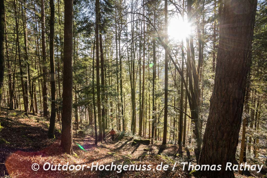Wanderung Genießerpfad TEINACHER
