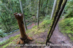 Wanderung Genießerpfad TEINACHER