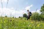 Wandern zum *Tieringer Hörnle*