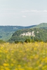 Juragestein