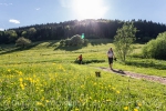 Wechselnde Beläge machen den Weg sehr spannend