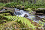 Trekkingplätze im Nordschwarzwald