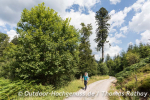 Trekkingplätze im Nordschwarzwald
