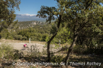 Mit dem Fahrrad um den Mont Ventoux