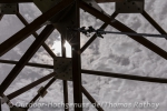 Rathay_140506_0382
