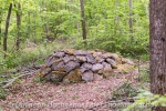 Vent des Forêts