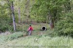 Vent des Forêts
