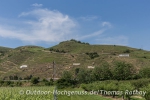 Wer auf der ViaRhôna unterwegs ist, durchquert die verschiedenen Weinlagen des Rhonetals