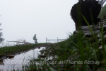 Auch im Nebel spannend ...