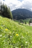 Passeier Talblick 1