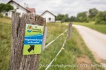Hügelwanderung im Kessel, Wandern im Ferienland Donau-Ries