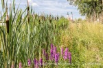 Wandern im Ferienland Donau-Ries