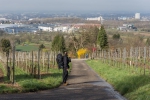 Blick zurück auf Weil und Basel