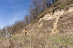 Molassefelsen
